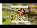 Rosa Passos - "Juras" (O Melhor de Rosa Passos/1997)