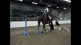 preview picture of video 'White Collar Criminal's first AQHA trail class'