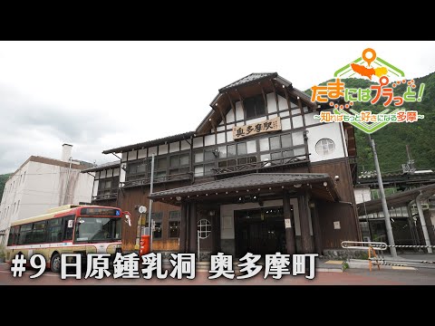 「たまにはプラっと！」　2024年5月31日放送
