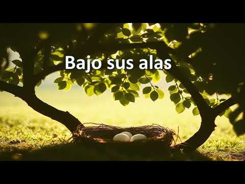 Bajo sus alas – Himno 411 - Versión country-bluegrass cristiano acústico