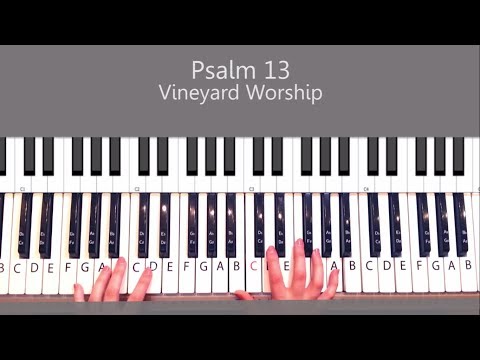Psalm 13 - Vineyard