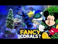 Dream [named] Corals - Walt Disney Tenuis, Little Shop of Horrors Zoa, Oregon Tort, and more!!