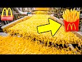 Como São Feitas As Batatas Fritas Do McDonald S