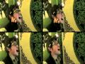 Theme From The Wild Thornberrys Better Audio
