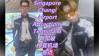 World's Best Airport Singapore Changi Airport Insider Guide Terminal 3 Shop & Dining Attractions
