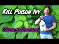 How To Kill Poison Ivy Without Killing Everything Else Or Yourself