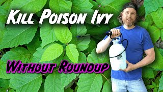How to Kill Poison Ivy Without Killing Everything Else (Or Yourself)