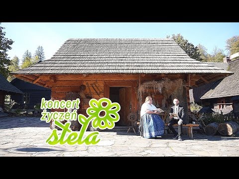 Koncert Życzeń Stela - David Fly "Still"