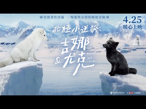 《北極小迷狐 吉娜 尤克》預告片：官方預告