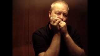 Bye Bye Bird - Acoustic Blues Harmonica Low G - Sonny Boy Williamson II cover