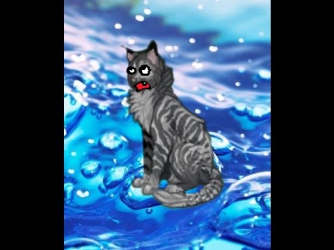 Плаваю в Большой Воде? {CatWar}