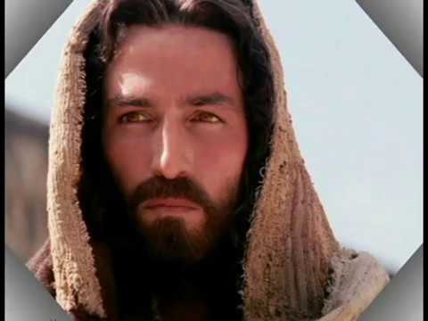 HOGEVOR ERGER HISUS SIRELIS NEW 2016