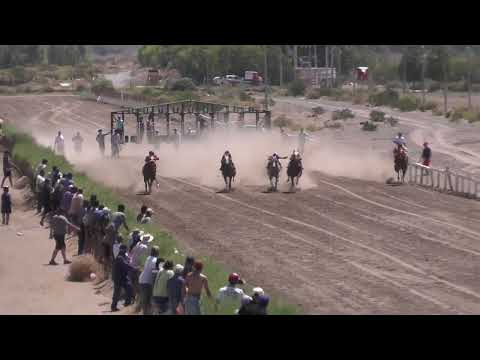 AJUSTADA Club Hipico Añelo, Domingo 12 de enero 2025