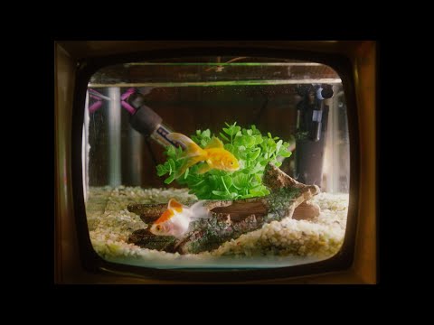 dosii (도시) - 연극이 끝난 후(after the play is over) (Official Visualizer)