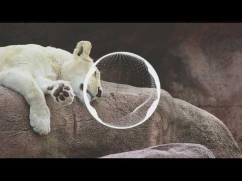 [Dubstep] Flakzz - Dispersion