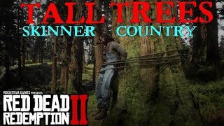 Red Dead Redemption 2 | Tall Trees, Skinner Brothers Country