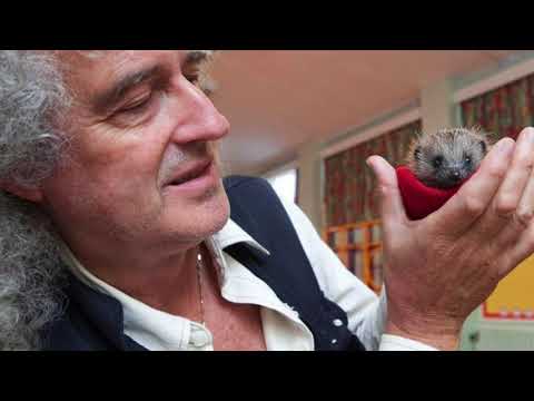 Brian May  A Smart and Caring Man.