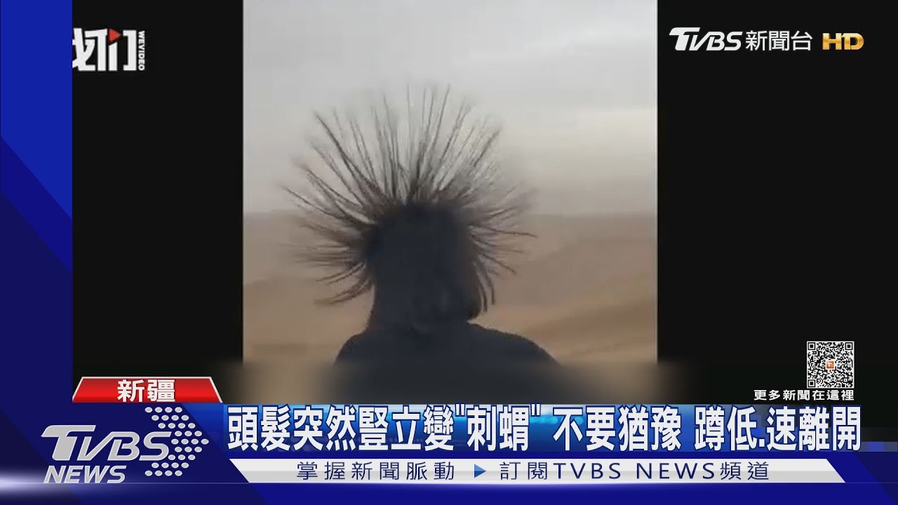 頭髮突然豎立變刺蝟不要猶豫 蹲低速離開