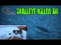 Video Thumbnail for Walleye Ice Fishing with CR Baits Tungsten Jig & Soft Plastic (Crazy Underwater Action)