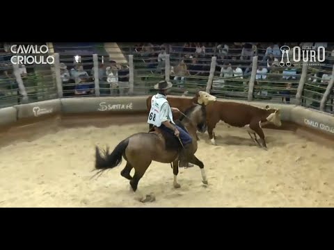 Rival da Dom Manoel • Melhor Nota da Prova de Mangueira I dos Machos no Bocal de Ouro 2024