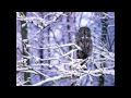 It's Snowing Angels by Andy Partridge.wmv