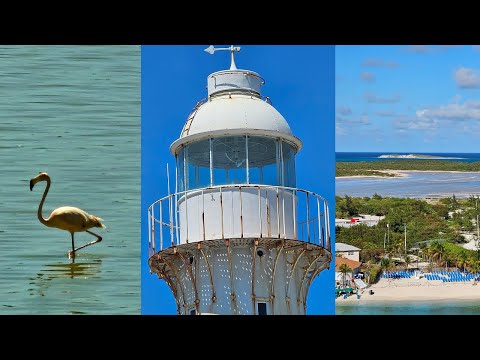 A Lighthouse, Flamingos and Sea Salt? Check out Grand Turk in the Turks and Caicos!