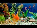 🐠 Baby Lullaby and Freshwater Aquarium ❤️ Bedtime Lullabies