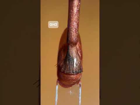 Video ANDREIA THE GEL