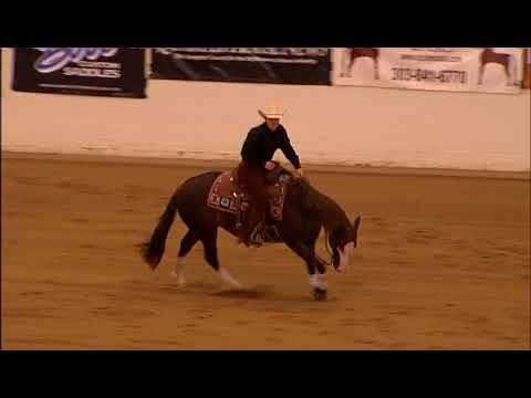 HRRC ARC Gunna Mark Ya  & Abby Lengel 2017 Open Derby Level 2 Champion