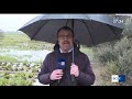 titolo video