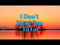 I Don't Want You To Go (lyrics) - Lani Hall
