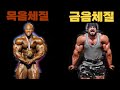 8체질과 보디빌딩, 목음체질 VS 금음체질