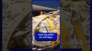 اكتشاف رفات بشرية يعود تاريخها إلى نحو 3 آلاف عام في السلفادور thumbnail