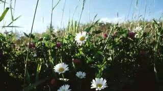 What Does Loyola Press's 3-Minute Retreat Mean to You?