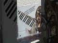 Django - Enrico Pieranunzi