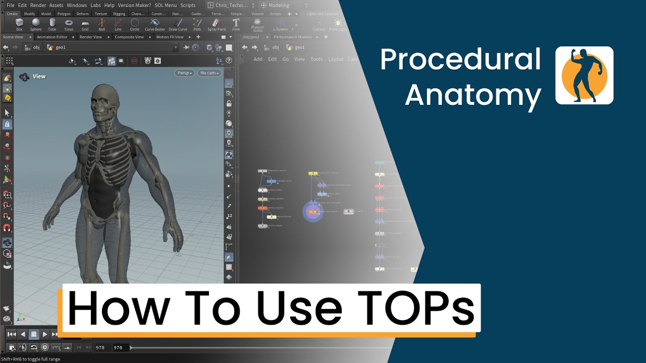 Using TOPs And Procedural Anatomy
