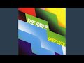 Girls' Night Out by The Knife