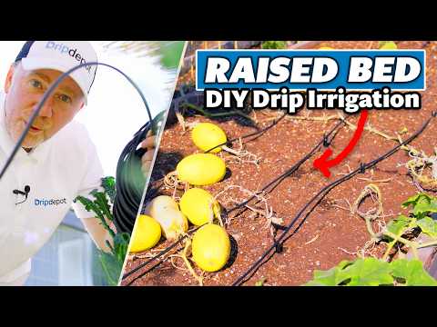 How to Install Drip Irrigation for Raised Beds (Complete DIY Beginner's Guide)