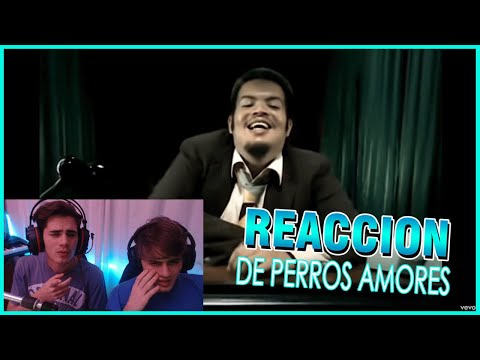 ARGENTINOS REACCIONAN A Control Machete - De Perros Amores