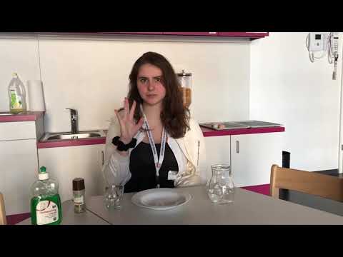 Experiment "Bakterien und Seife"