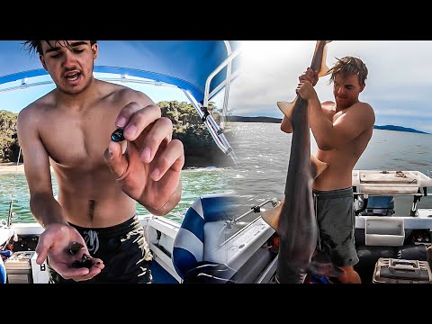 BIG SHARK Food Chain Challenge Pt 2 Camping On The Boat