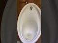 Armitage Shanks Urinals