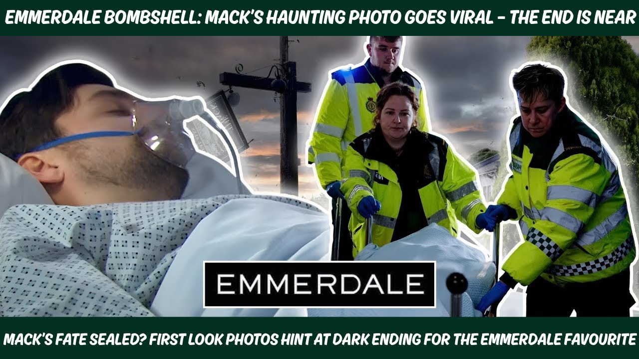 YouTube Thumbnail Downloader FULL HQ IMAGE