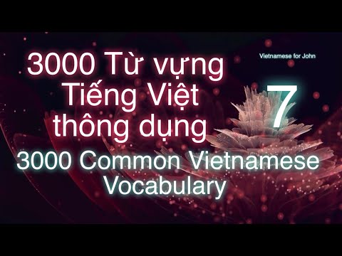 Learn Vietnamese / 3000 Common Vietnamese Vocabulary: Part 7 / 80% of daily communication