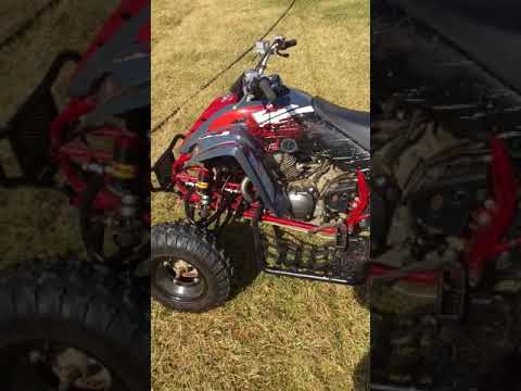 2008 Raptor 350