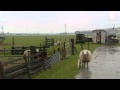 Meest markante boer woont in Vierpolders