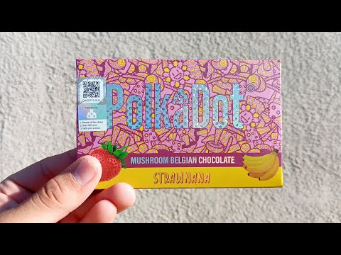 Polka dot chocolate bars us us delivery, packaging type: bul...
