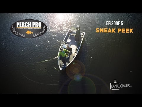 Perch Pro 2017 - Sneak Peek Ep. 5 - Kanalgratis.se