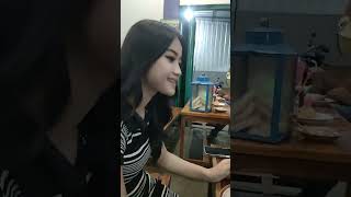 Download lagu Yesa Oktavia ,,Makan nasgor. mp3