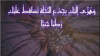 صورة مناكفات الكريسماس والبلح وفصل الشتاء